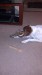 Thumbnail 2013-1225_081627_364.jpg 