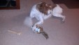 Thumbnail 2013-1225_081654_701.jpg 