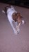 Thumbnail 2013-1225_081827_129.jpg 