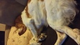 Thumbnail 2014-1113_202741.jpg 