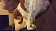 Thumbnail 2014-1128_192723.jpg 