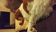 Thumbnail 2014-1128_192758.jpg 