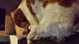 Thumbnail 2014-1206_205200.jpg 