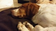 Thumbnail 2014-1207_191637.jpg 